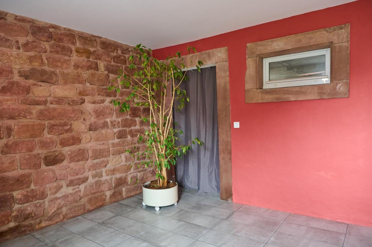 Le Noyer - Appt Avec Terrasse Et Jardin Partage