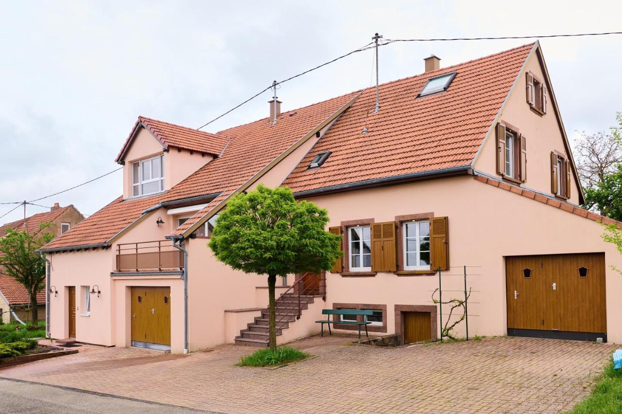 Le Noyer - Appt Avec Terrasse Et Jardin Partage Apartment Puberg
